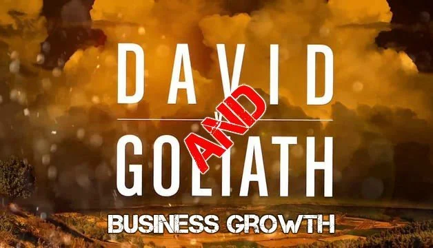 business growth strategy